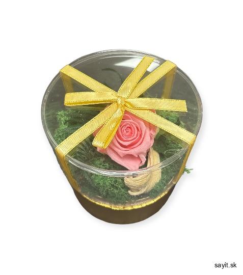 Trvácna ruža v okrúhlom boxe - ružová