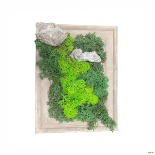 Machový obraz Green Contrast