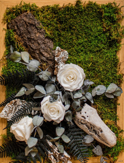 Machový obraz ruže, eukalyptus