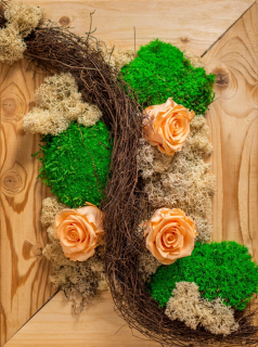 Machový obraz Salamander