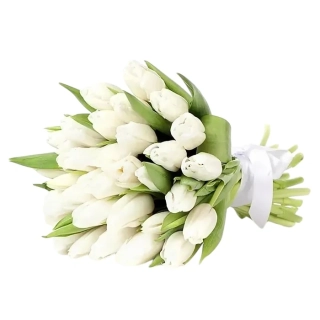 Luxusné Biele Tulipány