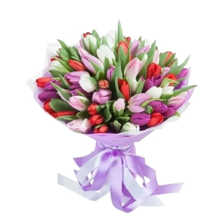 Tulip mix kytica tulipánov