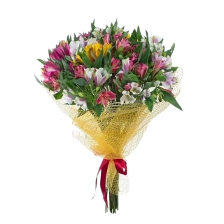 Kolorit symfónia Alstroméria