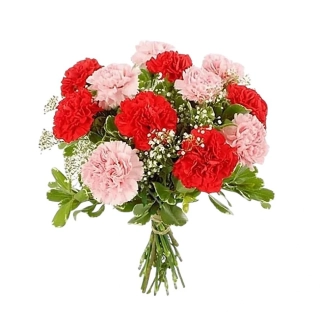 Karaf Kytica červených a ružových karafiátov