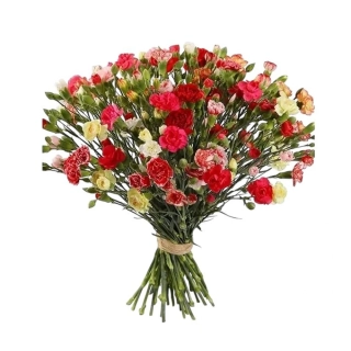 Kytica z pestrofarebných mini klincov