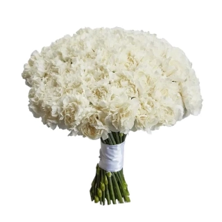 Karaf white biele karafiáty