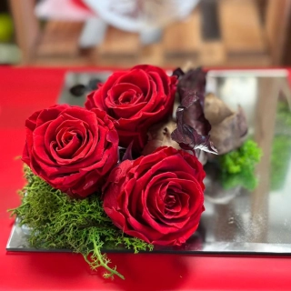 Aranžmán Red Beauty 3 stabilizované ruže, stabilizovaný mach 