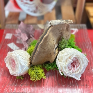 Aranžmán White Beauty 3 stabilizované ruže, stabilizovaný mach