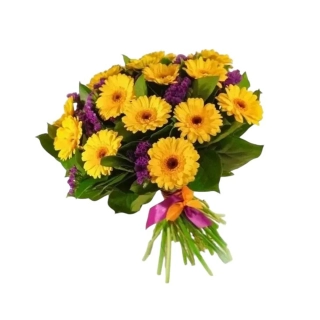 Kytica žltých gerbier