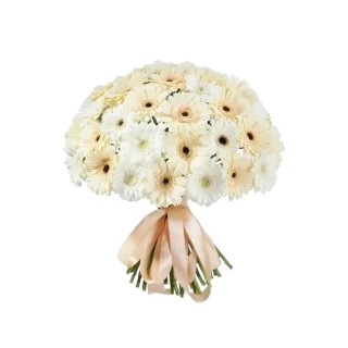 Kytica z bielych gerbier