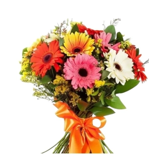 Kolorit Kytica farebný mix gerbier a bohatej zelene