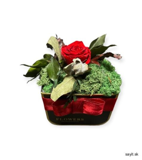 Trvácne ruže v boxe - 1 červená ruža so zeleňou